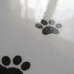 Sous-main plastifié silhouette de chat, noir et blanc,Tribu de chats