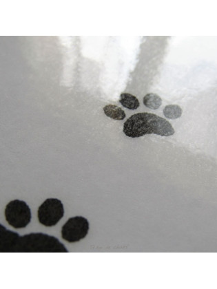 Sous-main plastifié silhouette de chat, noir et blanc,Tribu de chats