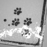 Marque page papier plastifié, motif silhouette de chat, noir et blanc, Tribu de chats