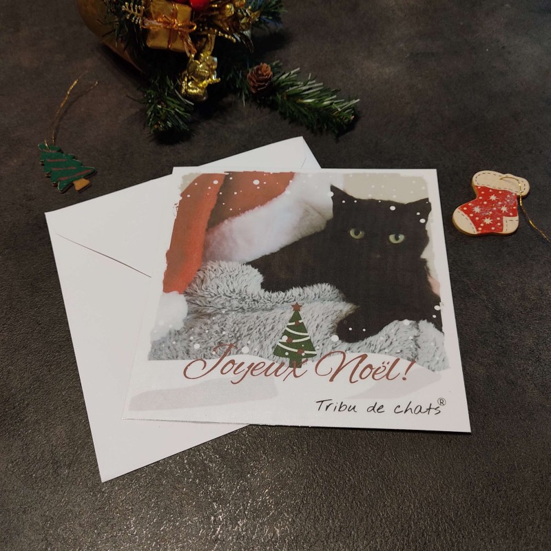 Carte Joyeux Noël chat, photo de chat noir et Père Noël, Tribu de chats