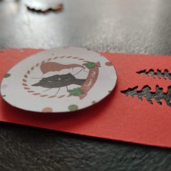 Etiquettes cadeaux de Noël rouges, chat avec bonnet de Père Noël, Tribu de chats