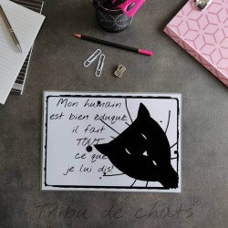 Sous-main tête de chat et texte humour, A4 noir et blanc, Tribu de chats