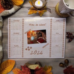 Calendrier cosy motif chat, Tribu de chats