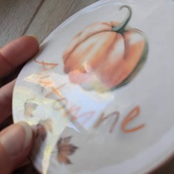 Stickers chat et automne cosy, boutique Tribu de chats