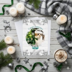 Planner de Noël “Chat & Noël Hygge” – A télécharger et à imprimer | Tribu de chats