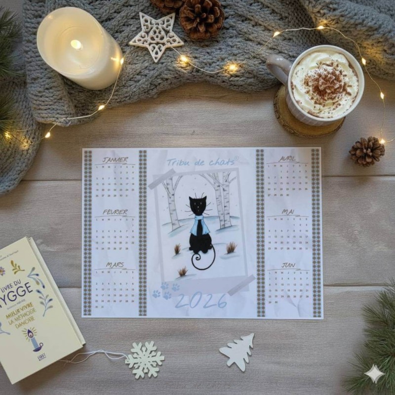 Calendrier chat et hiver cosy - Illustration et artisanat |Tribu de chats