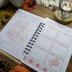 Agenda chat et automne cosy - Illustration et artisanat |Tribu de chats