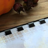 Carnet de notes chat et automne cosy - Illustration et artisanat |Tribu de chats