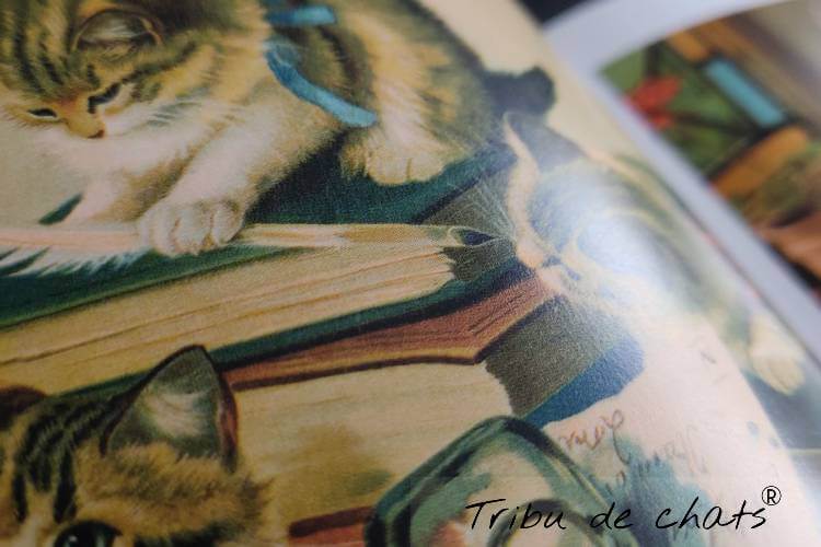 /A découvrir/Livres/Les 100 plus belles images du chat/les-100-plus-belles-images-du-chat-papier-blog-chat-tribu-de-chats