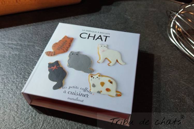 fabrique-a-biscuits-chat-coffret-cadeau-blog-chat-tribu-de-chats