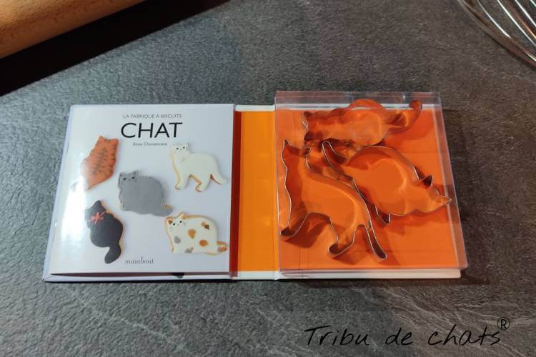 fabrique-a-biscuits-chat-coffret-cadeau-ouvert-blog-chat-tribu-de-chats