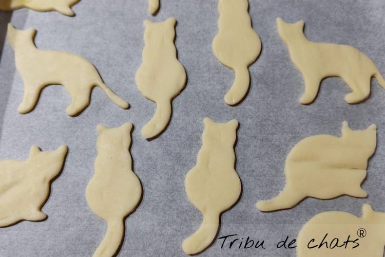 sables-forme-chat-idee-cadeau-blog-chat-tribu-de-chats