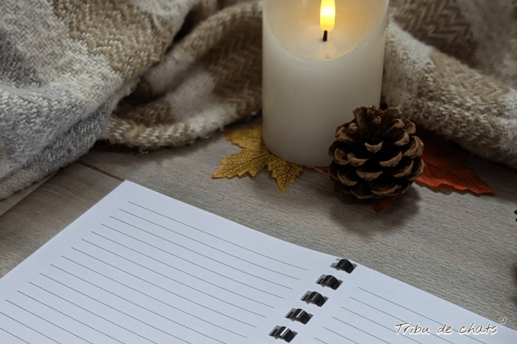 astuces_papeterie_hygge_automne_blog_hygge_chat_tribu_de_chats