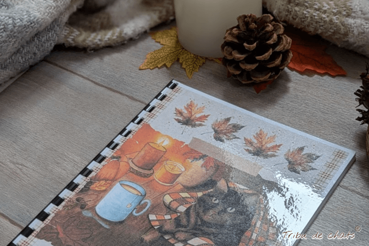 papeterie_hygge_automne_blog_hygge_chat_tribu_de_chats