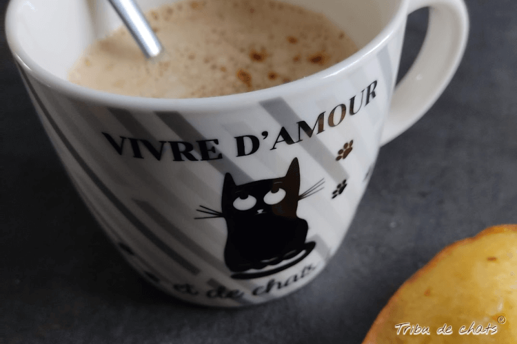 univers_hygge_tribu_de_chats_blog_hygge_chat_tribu_de_chats