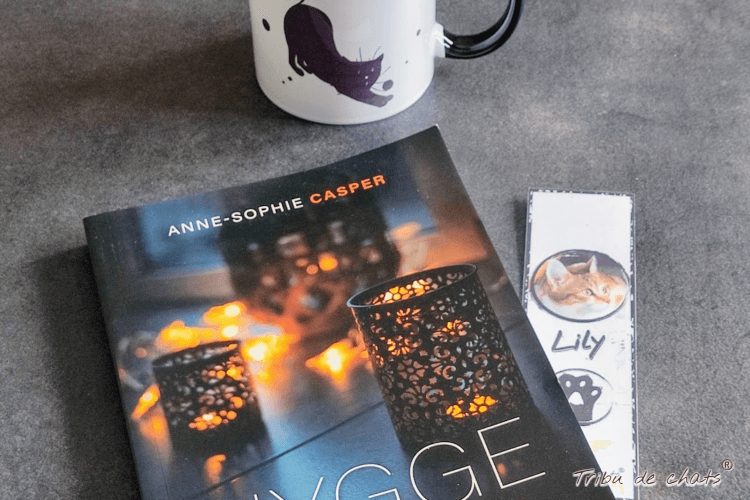 cherir_l_automne_blog_hygge_chat_tribu_de_chats