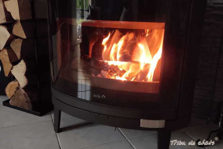 loisir_automnal_hygge_blog_hygge_chat_tribu_de_chats