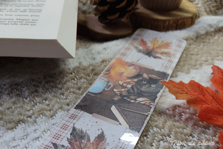 papeterie_hygge_automne_blog_hygge_chat_tribu_de_chats