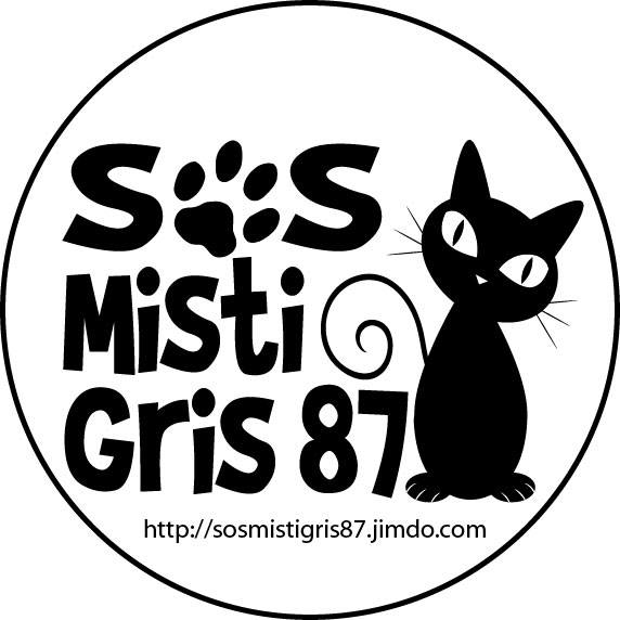 Sos Mistigri Une Association Qui Vient En Aide Aux Chats