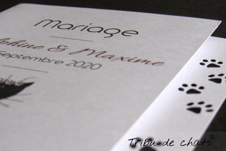 faire_part_mariage_chat_inspiration_mariage_blog_chat_tribu_de_chats