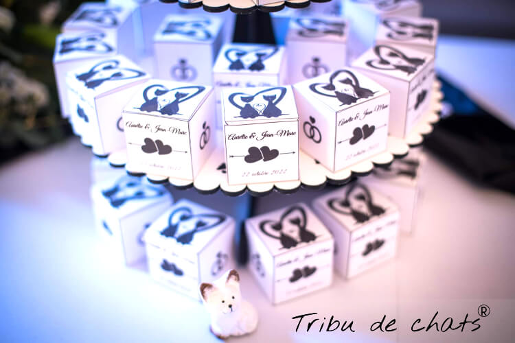 boites_a_dragees_mariage_chat_inspiration_mariage_blog_chat_tribu_de_chats