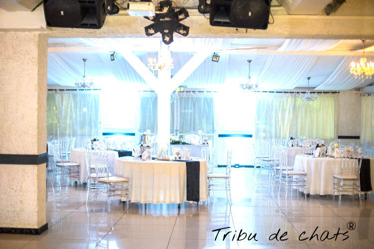decoration_salle_mariage_chat_inspiration_mariage_blog_chat_tribu_de_chats