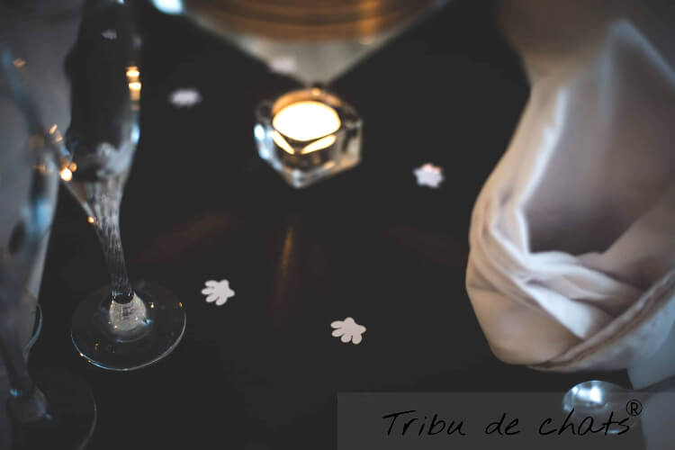 decoration_table_mariage_chat_inspiration_mariage_blog_chat_tribu_de_chats