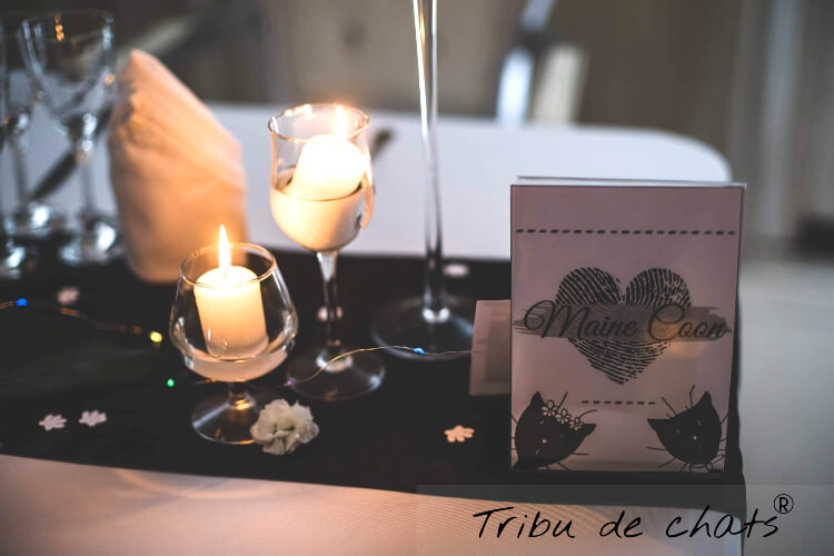 placement_table_mariage_chat_inspiration_mariage_blog_chat_tribu_de_chats