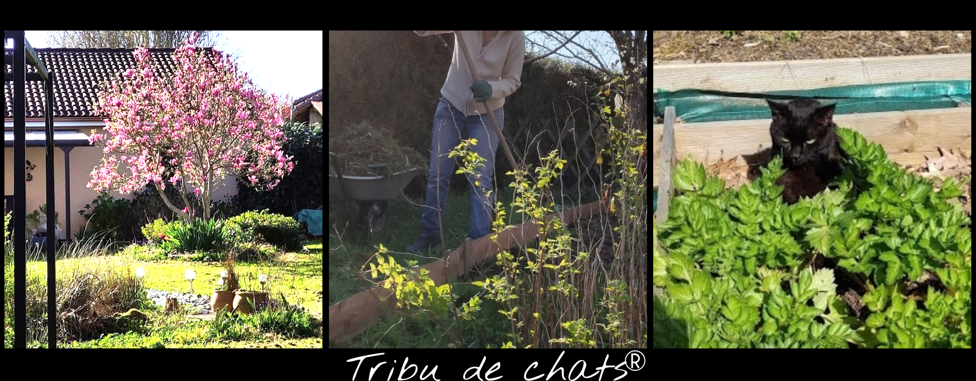 Tous au jardin