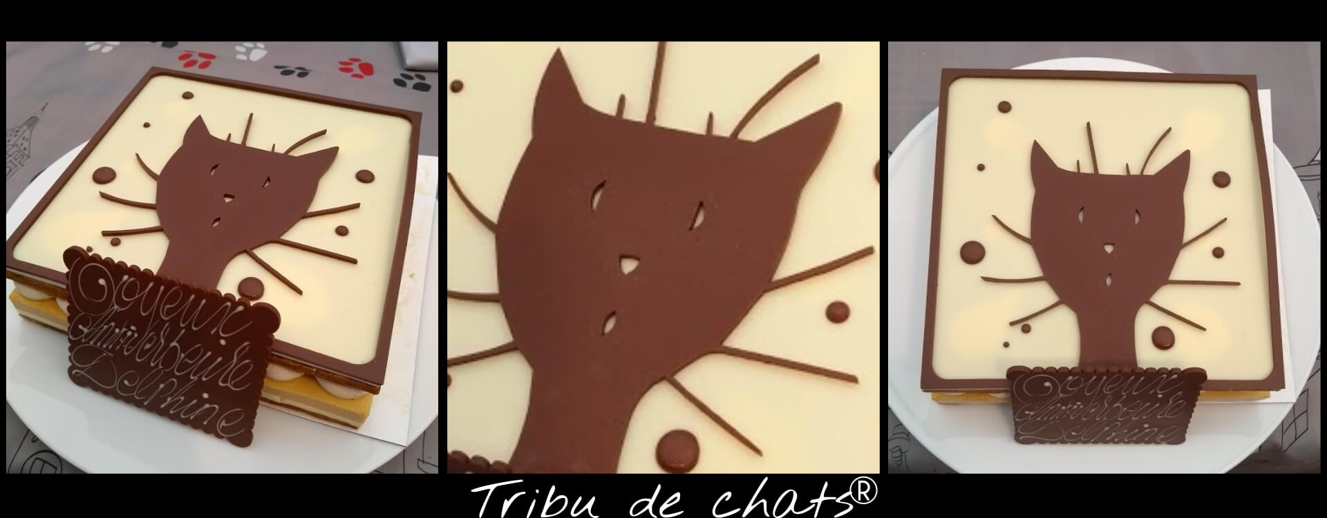 Gâteau d'anniversaire Tribu de chats