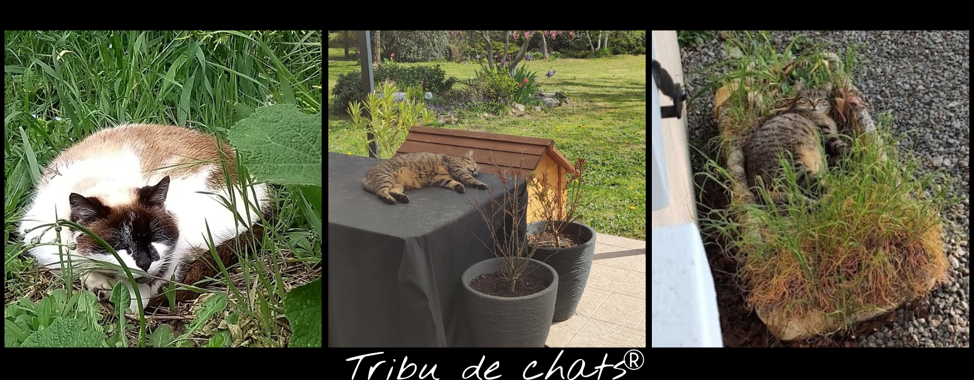 la tribu profite du retour des beaux jours.