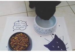 Aménager un coin repas pour son chat