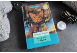 Les 9 vies d'Edward, un roman pour les amoureux des chats