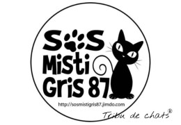 SOS Mistigri 87, une association locale qui vient en aide aux chats